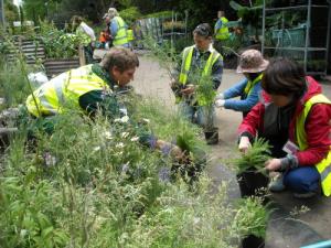 Pepa poroča iz Londona Dobila sem pozlačeno srebro22